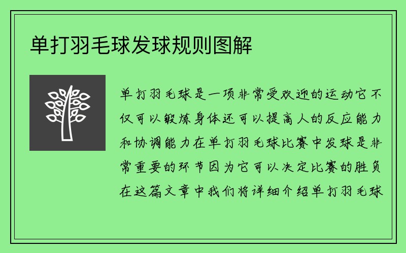 单打羽毛球发球规则图解