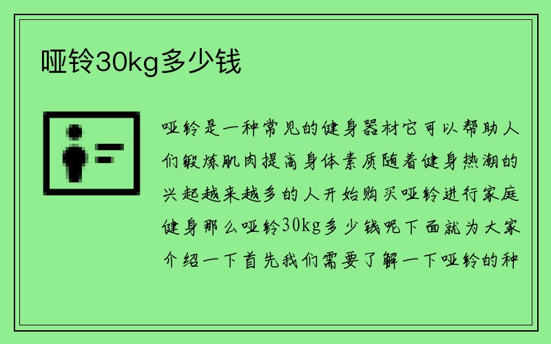 哑铃30kg多少钱